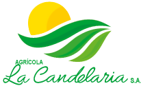 Agrícola La Candelaria S.A.